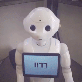 PEPPER